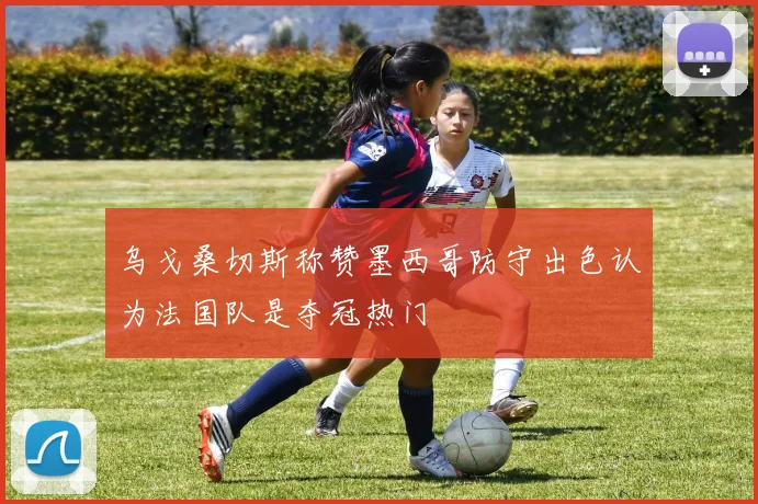 乌戈桑切斯称赞墨西哥防守出色认为法国队是夺冠热门
